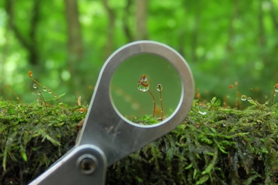 htQ0v3J9EEFkxCNZcZTP.jpeg?w=940&h=940