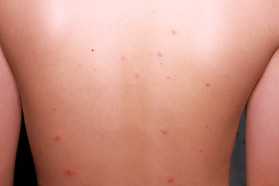 htZDHtyNRCtuyO4auSrZ.png?w=940&h=940