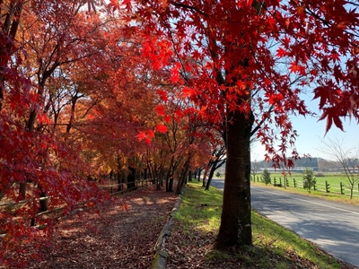 htc7PYKqIwznMg528UvX.jpg?w=940&h=940