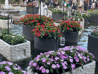 htz8mFBfPfiEW4EBkDWv.jpg?w=940&h=940