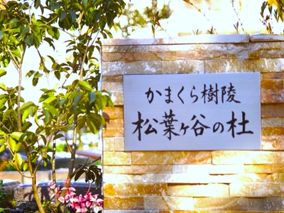 hvJydqpbzuwsD45ptgDj.jpg?w=940&h=940