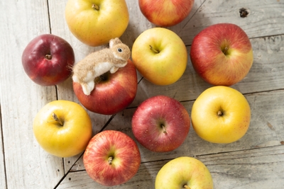 hvTZLJnGFPqH63n7eCQG.jpg?w=940&h=940