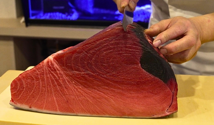 ミシュラン店や一流高級鮨店に並ぶクラスの天然本マグロを、当店のおまかせコースで存分にご堪能いただけます。