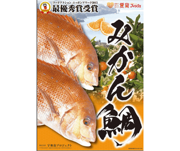 hx4sLKidNO3jjr7vDgt0.png?w=940&h=940