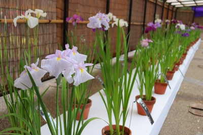 hx4wZflwbWRYGU1iUHGq.jpg?w=940&h=940