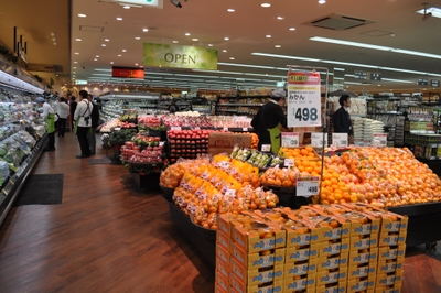 hxN7PkgtELueXhMG4z5m.jpg?w=940&h=940