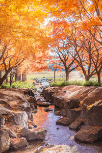 hy5OGJeigeRjnR7uwqm8.png?w=940&h=940