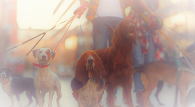 hzf5q0mna2cHmWUwUw2u.jpeg?w=940&h=940