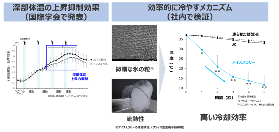 <夏の熱中症対策に向けて> アイススラリーが効果的に身体を冷やすメカニズムを検証