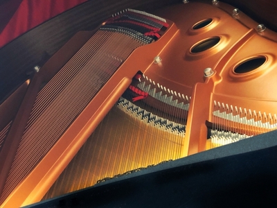 i0G0cCeyOzDOUf50ZXLm.jpg?w=940&h=940