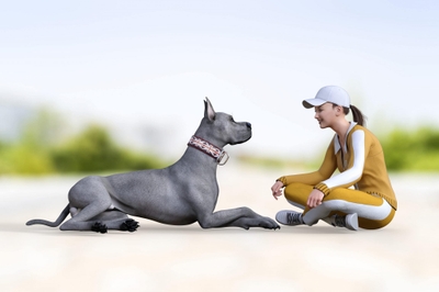 お手入れがしやすいと言われている犬種の特徴の中の一つが、抜け毛が少なく短毛である犬種です。