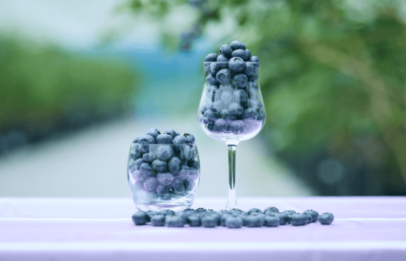 BLUE ANGELのプレミアム冷凍ブルーベリー