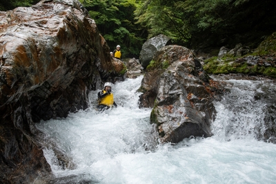 i1vMauDxd1k75cukAX7A.jpg?w=940&h=940