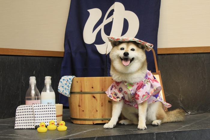 旅の想い出に<フォトスポット>