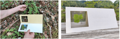 i3AalKRdQx6M3IP0UrPH.png?w=940&h=940