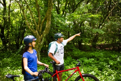 i3GxF4HkPxrZa3z32N0p.jpg?w=940&h=940