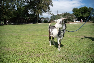 i3JN3KfiY41cpFsDF5Tn.jpg?w=940&h=940