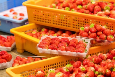 i3QqaeCrf76w4DpUYEBV.jpg?w=940&h=940