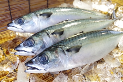 i3l45laG9oAeEICFMvWH.jpg?w=940&h=940