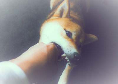 i4GNzCGecpivLoRNtH6t.jpeg?w=940&h=940