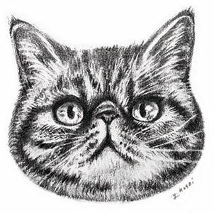 i52jftoYmTAoKjbZjHA1.jpg?w=940&h=940