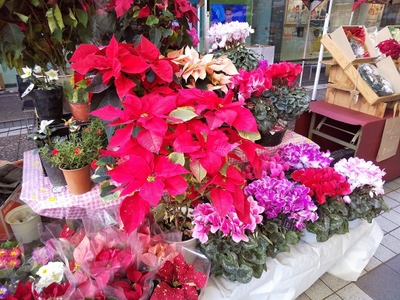 i6OwqP9pHYMwPwhfHjKD.jpg?w=940&h=940