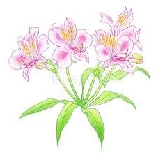 i7T4ggMYYwOvMUl33XLJ.jpg?w=940&h=940