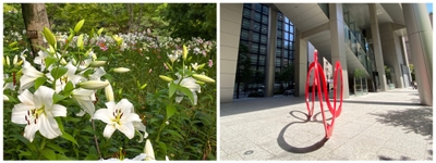 公園に咲く綺麗な花や面白い形のモニュメントも“発見”！