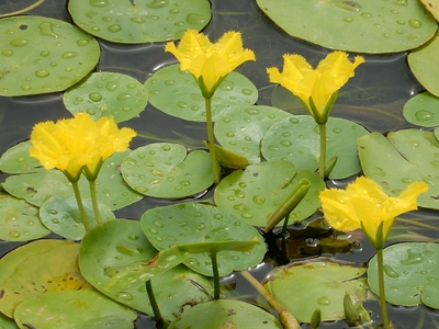 i9VqdX9t1PeOpxo0CmWE.jpg?w=940&h=940