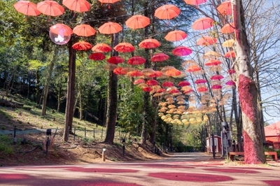 i9dCMsuYgoo0ynMwUGE7.jpg?w=940&h=940