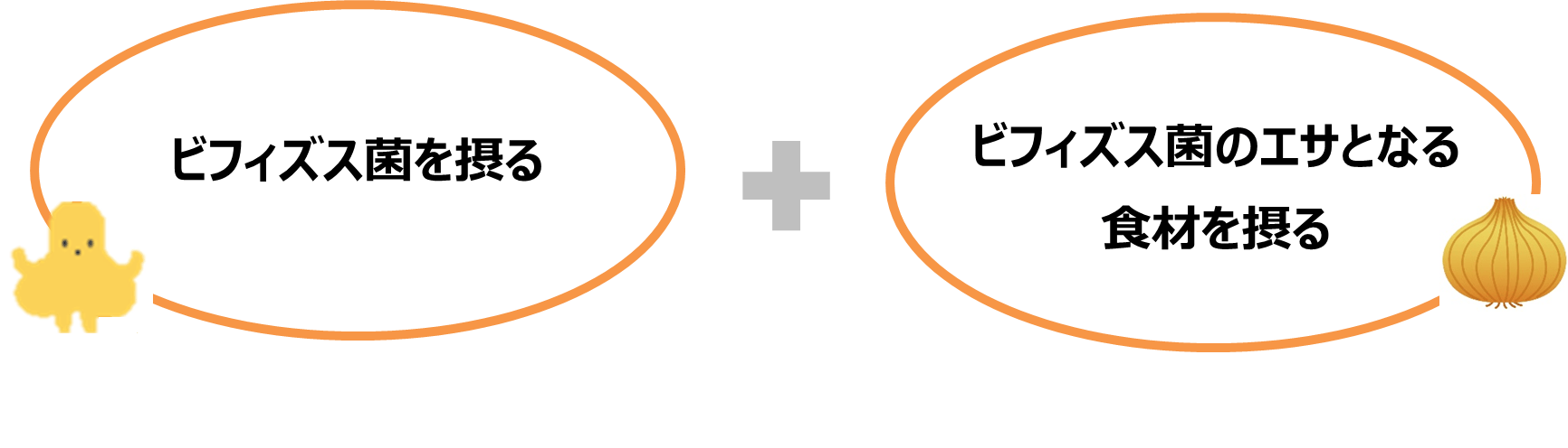 「短鎖脂肪酸」を増やすためには