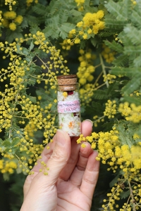 モイストポプリ