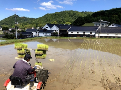 iCFdcMF3WF3w9OPC8Bes.jpg?w=940&h=940