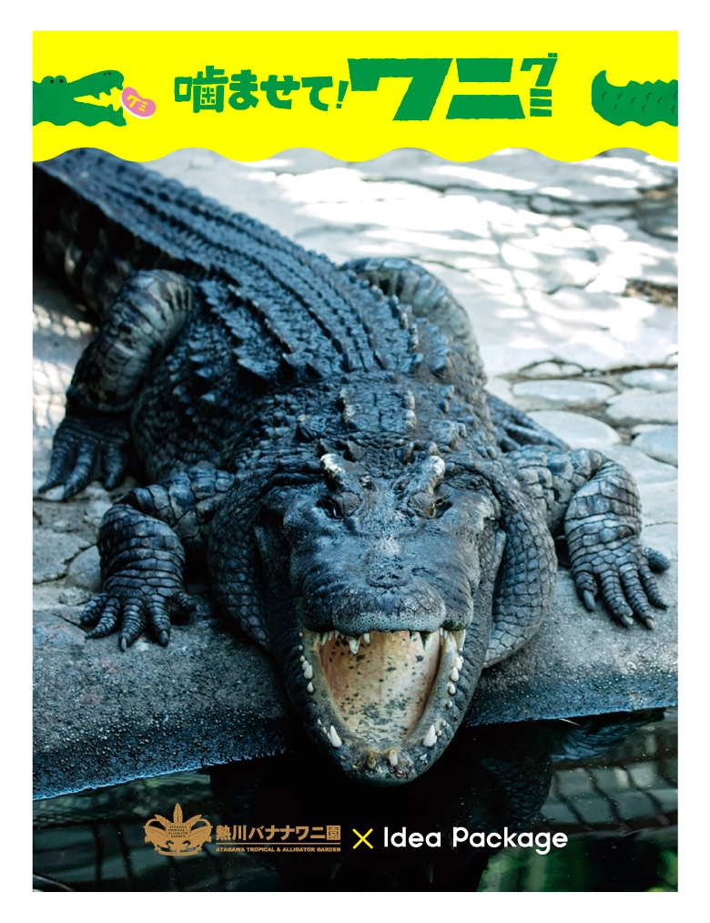 熱川バナナワニ園 購入特典ステッカー1