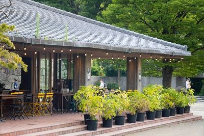 iCtDYaKeErYFquwpTso9.jpg?w=940&h=940