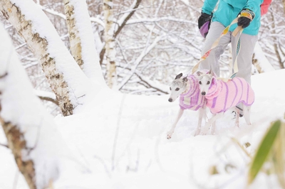 iDsuiXRwet25Phl1m243.jpg?w=940&h=940