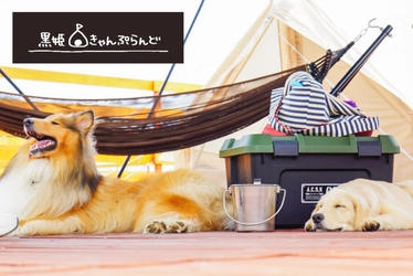 長野の高原キャンプ場「黒姫きゃんぷらんど」2025シーズン営業開始！オープンキャンペーンでりんご薪プレゼント実施★