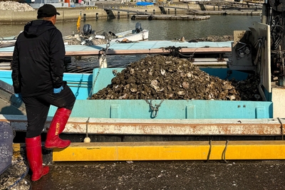 iGGCidSnHJzLcME10ANF.jpg?w=940&h=940