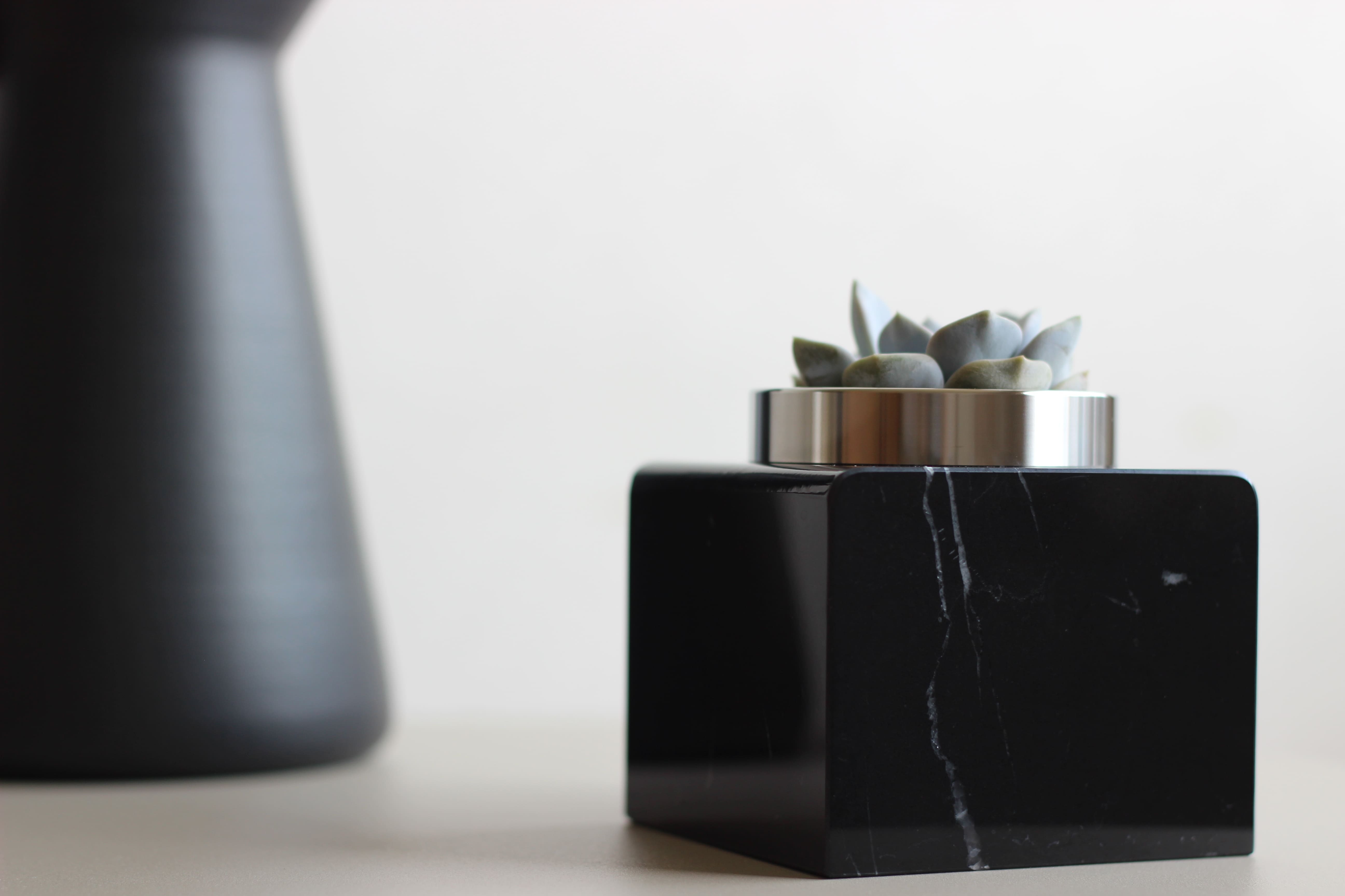 エケベリアを植えた真横写真