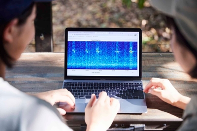 コウモリの鳴き声（超音波）を数値化して観測