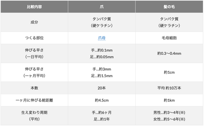 iInt4SnE6OLdk56pjFYP.png?w=940&h=940