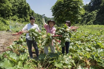 iJUeyufOYV7NBYCBxYYp.jpg?w=940&h=940