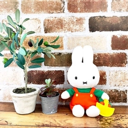 大注目の『キャロットシリーズ』からミッフィーのぬいぐるみが登場!!にんじん色のお洋服が素敵♫♫