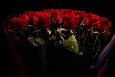 iM34SvAsfJvWqHLQI188.jpg?w=940&h=940