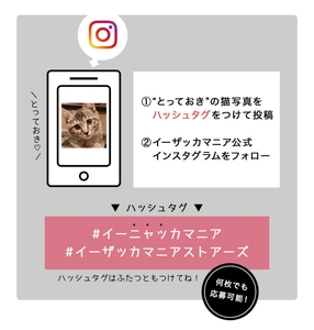 iMryaKR9Pp9vH3lf7Vil.jpg?w=940&h=940