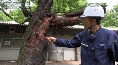 iOFoAqyICPaGxiXmPKH9.jpg?w=940&h=940