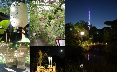 【向島百花園】伝統行事「虫ききの会」「月見の会」「萩まつり」を開催します（８/28～10/７）