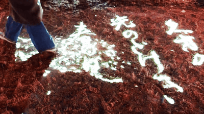 iP0H8LuOcOHeaqfXDr7i.png?w=940&h=940