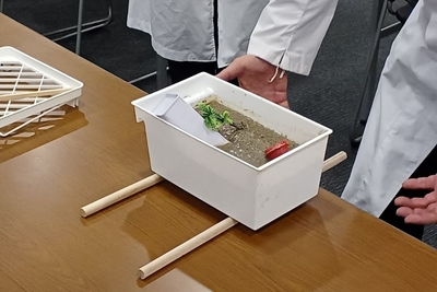 iQjXCF3Q2gfofWY11M8W.jpg?w=940&h=940