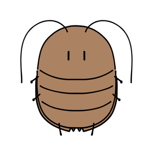 ゆるふわゴキブリ３